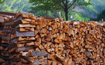 Available Firewood to Community Members